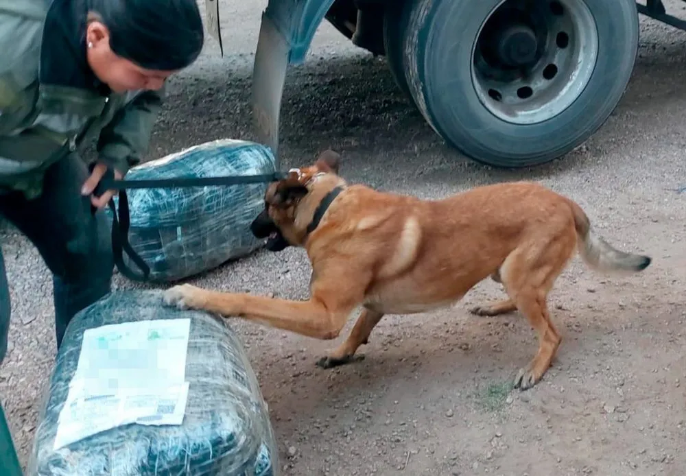 Secuestran más de 8 kilos de cocaína y detienen a dos personas en Córdoba