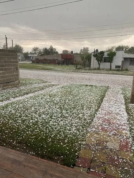 561750379_1258261836329154_646367230845042538_n