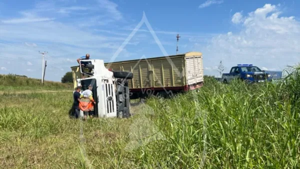 InShot_20260113_181335259