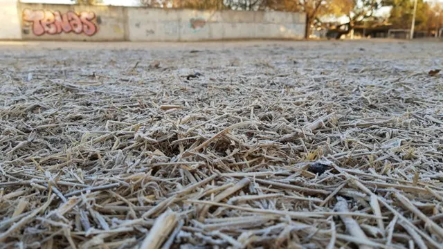 escarcha-frio-1