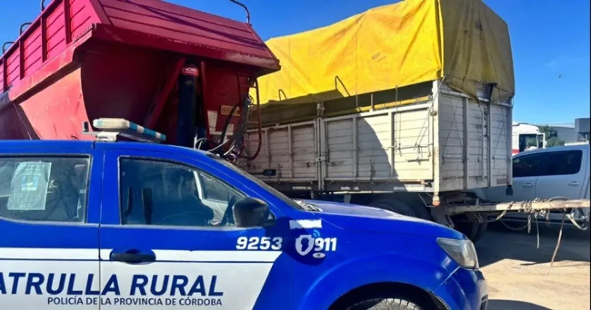 205847_1756561613_339