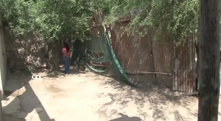 Sin título