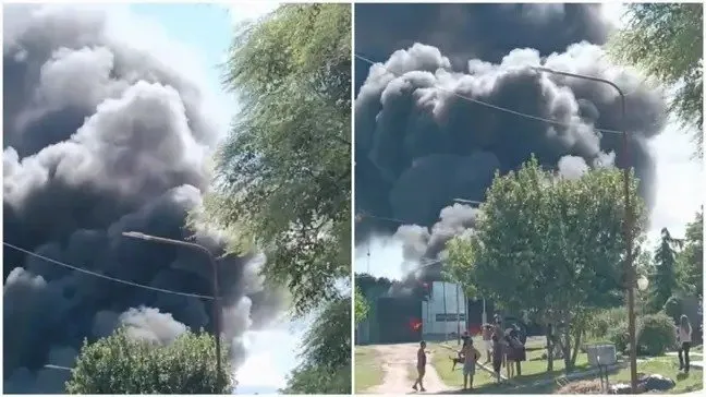 211069_1769689575_336