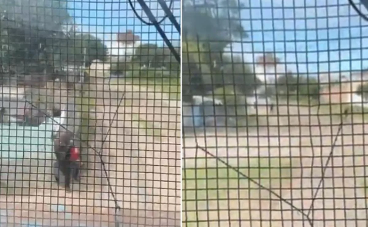 96bf2c91-2a9f-47ad-a9bc-27101bc6f10c