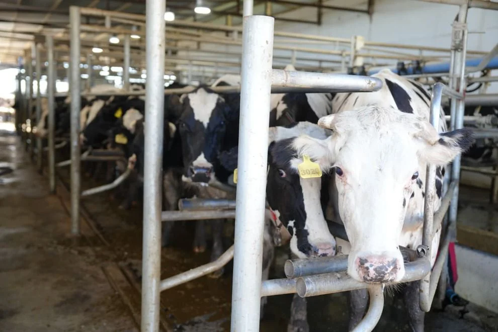 Registro-de-Huella-de-Carbono-1