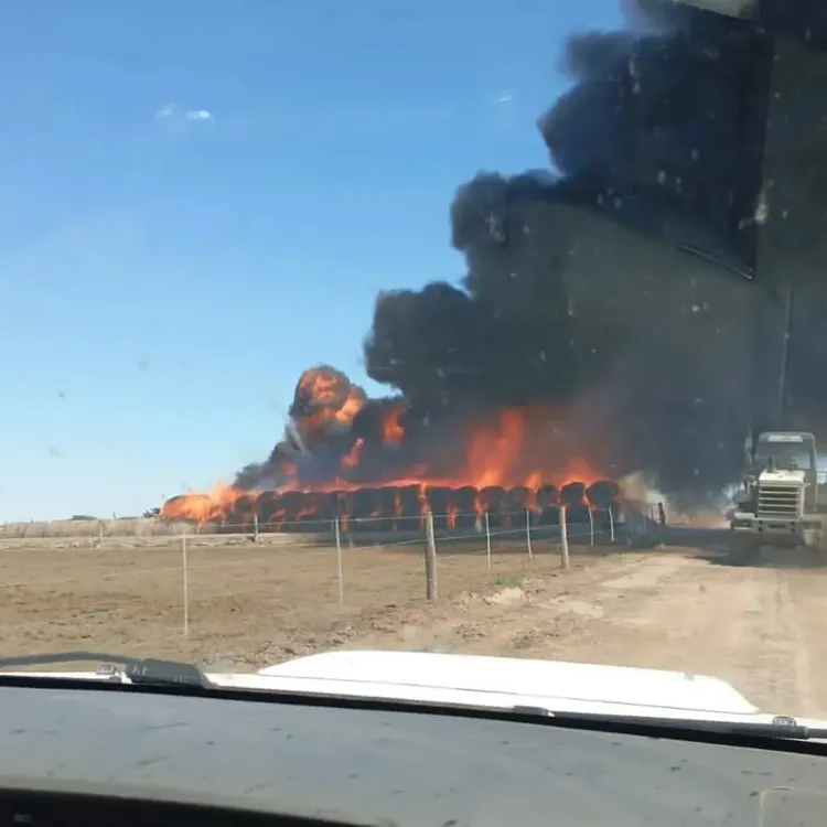 563922928_18015052757792290_2770847550177040647_n