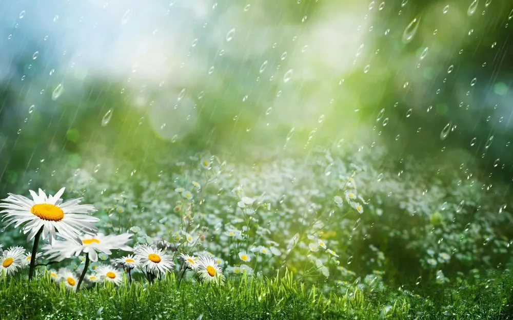 lluvia-de-primavera-iajjstufgtvound8