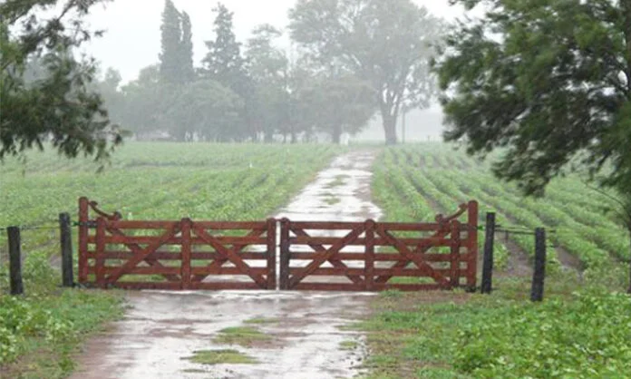 lluvia-en-el-campo-696x418