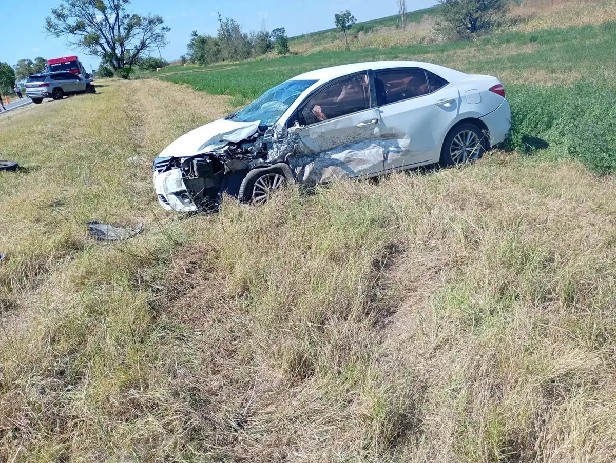 whatsapp-image-2026-01-23-at-220643-1