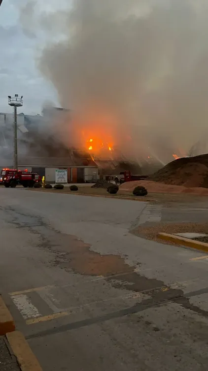 incendio-bioenergia-foto-fm-sensaciones-3jpeg