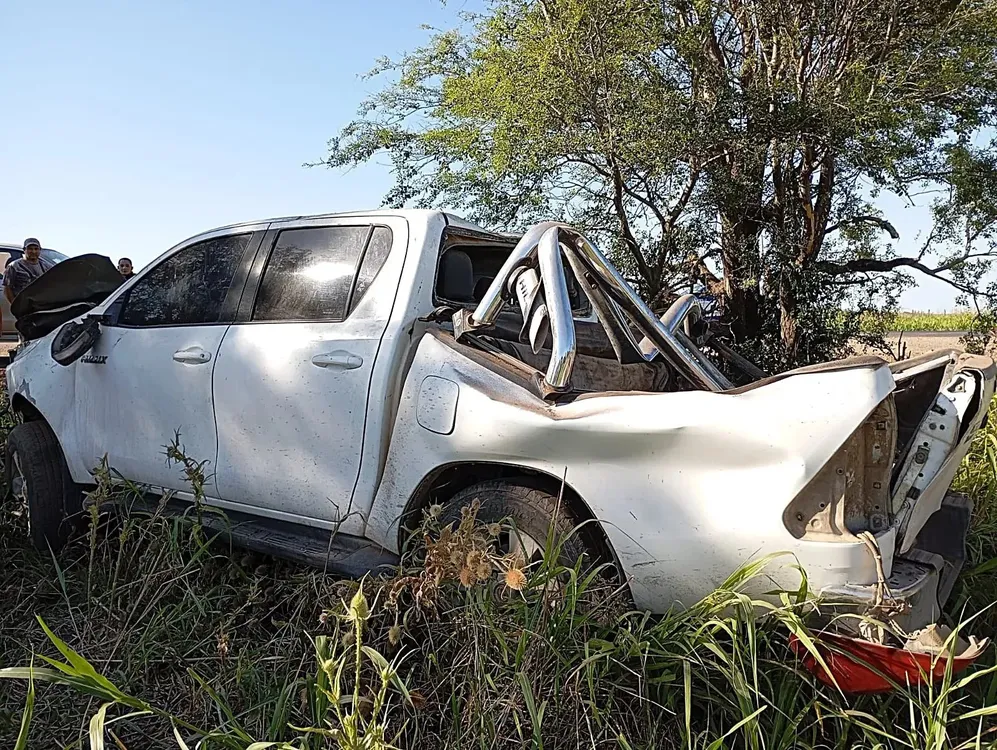 210006_1766934601_191