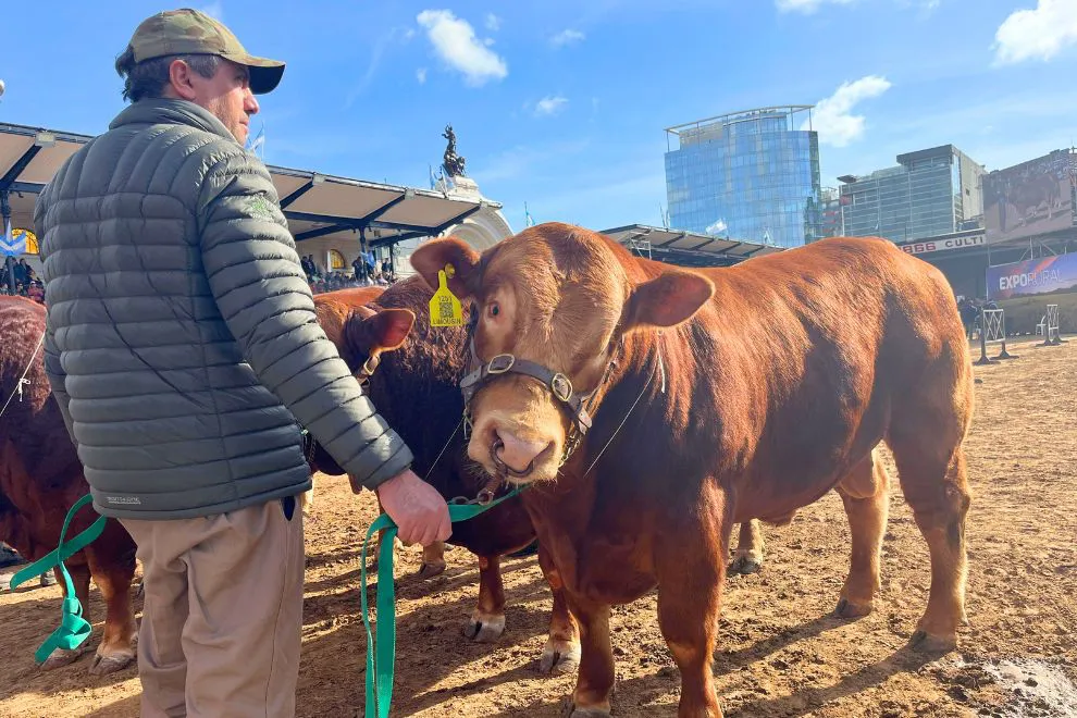 611293885_1498358501727782_3276533045471916920_n