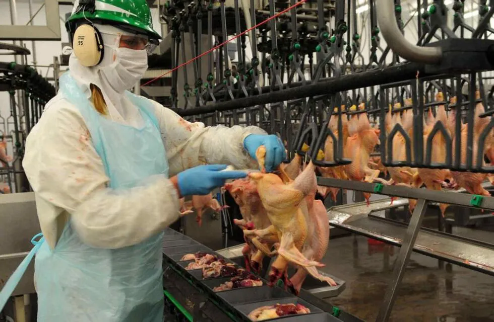 FNLOO2L7BRAARLUSYUOEMMHNZY