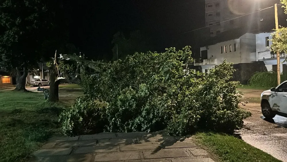 209851_1766490396_536