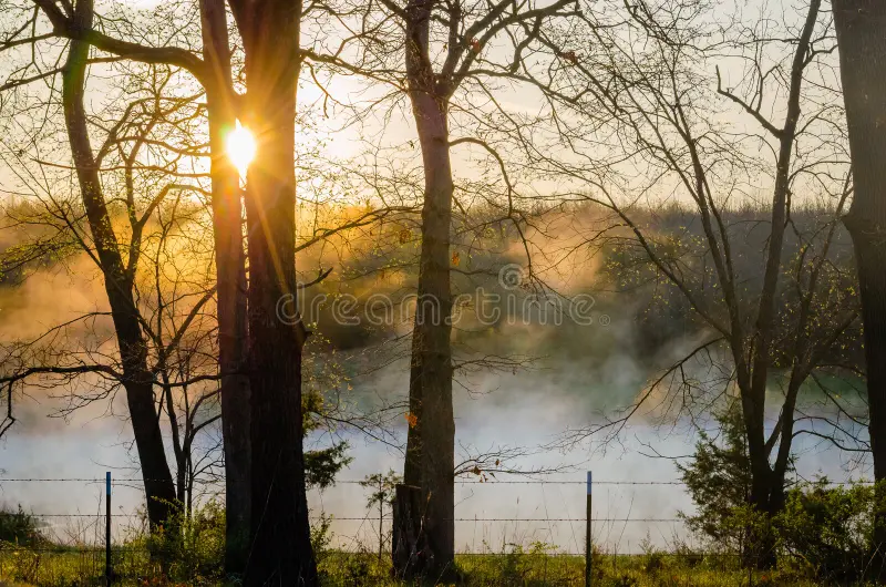 salida-del-sol-de-la-primavera-de-missouri-45138869