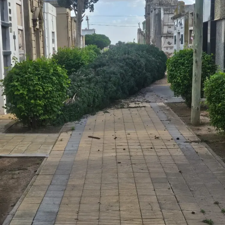 584011116_1273717488117480_9032912641441624003_n