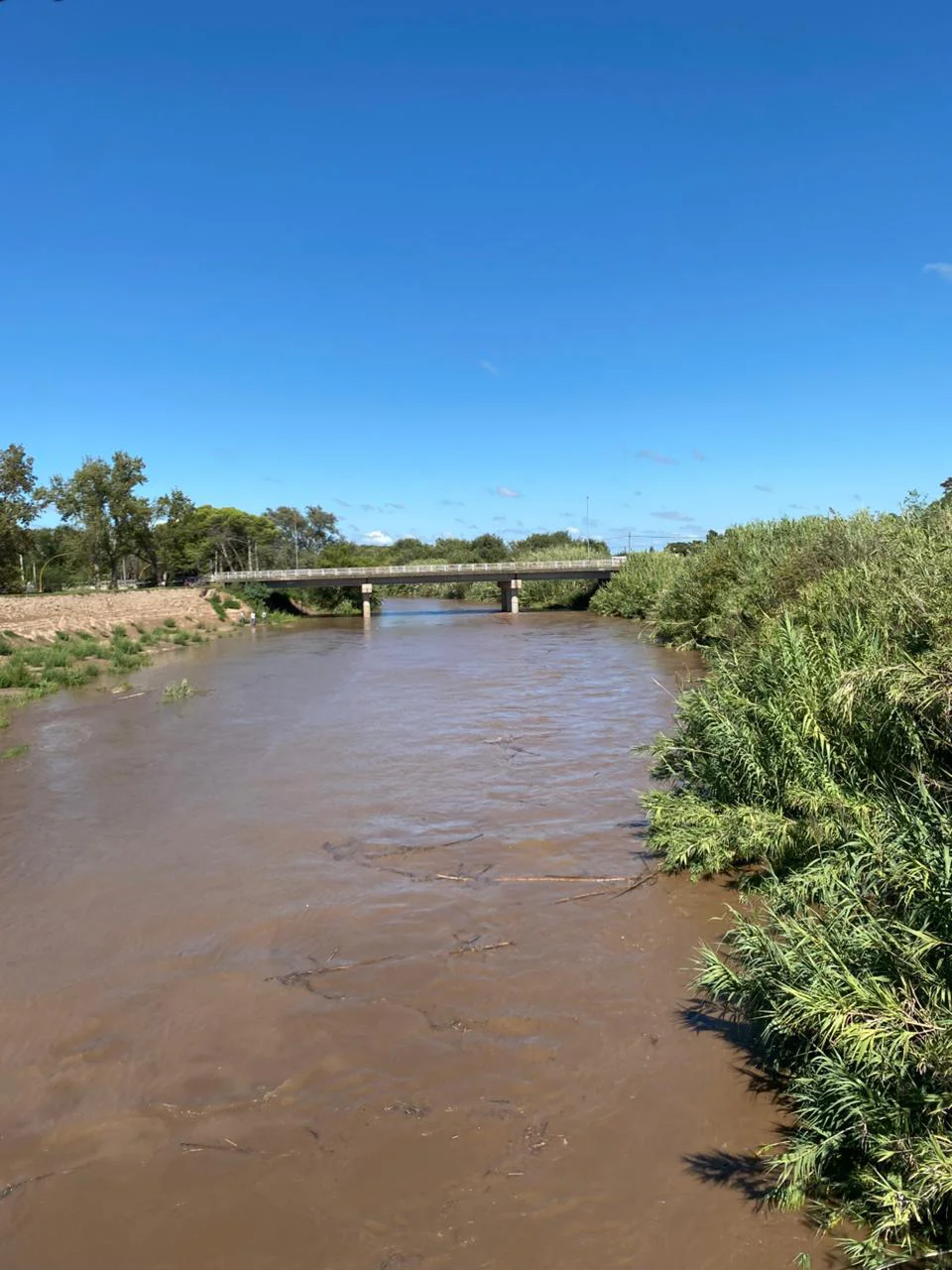 bc868865-1894-4c75-922f-67834a3207ad