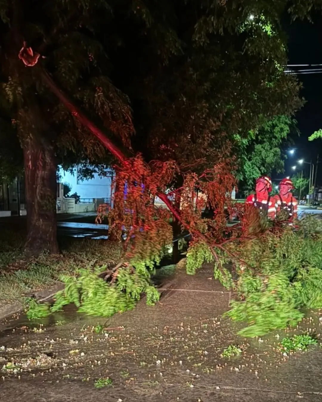 569412313_18097569643686299_661802791517345509_n