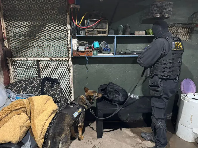 WhatsApp-Image-2025-11-05-at-6.13.30-AM-768x576