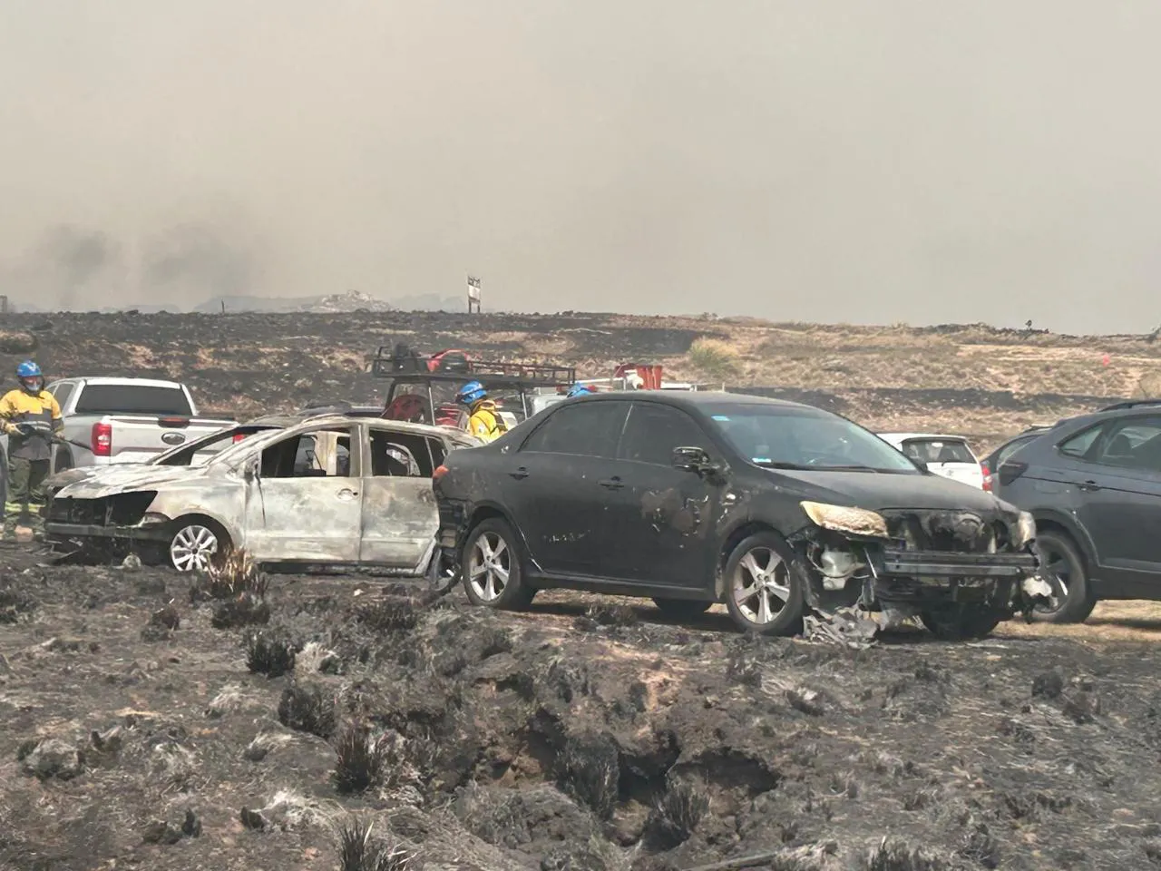 559941841_1143296404560419_6482787880300738184_n