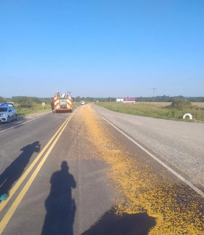 210424_1768091023_305